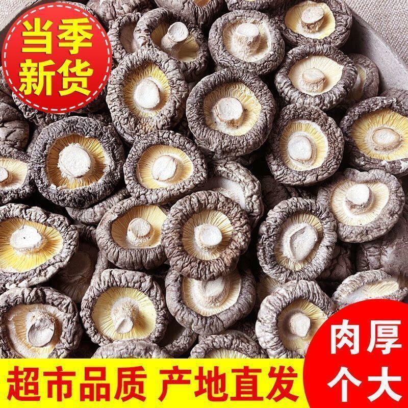 Dried Shiitake Mushrooms from Gutian, 500g, Thick Flesh, Rootless, Natural Shiitake Mushrooms, Edible Fungi, Direct Wholesale from the Manufacturer