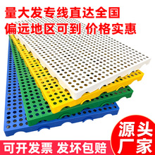 防潮板塑料网格组合式地垫仓库超市地台板托盘宠物垫板拼接小垫板