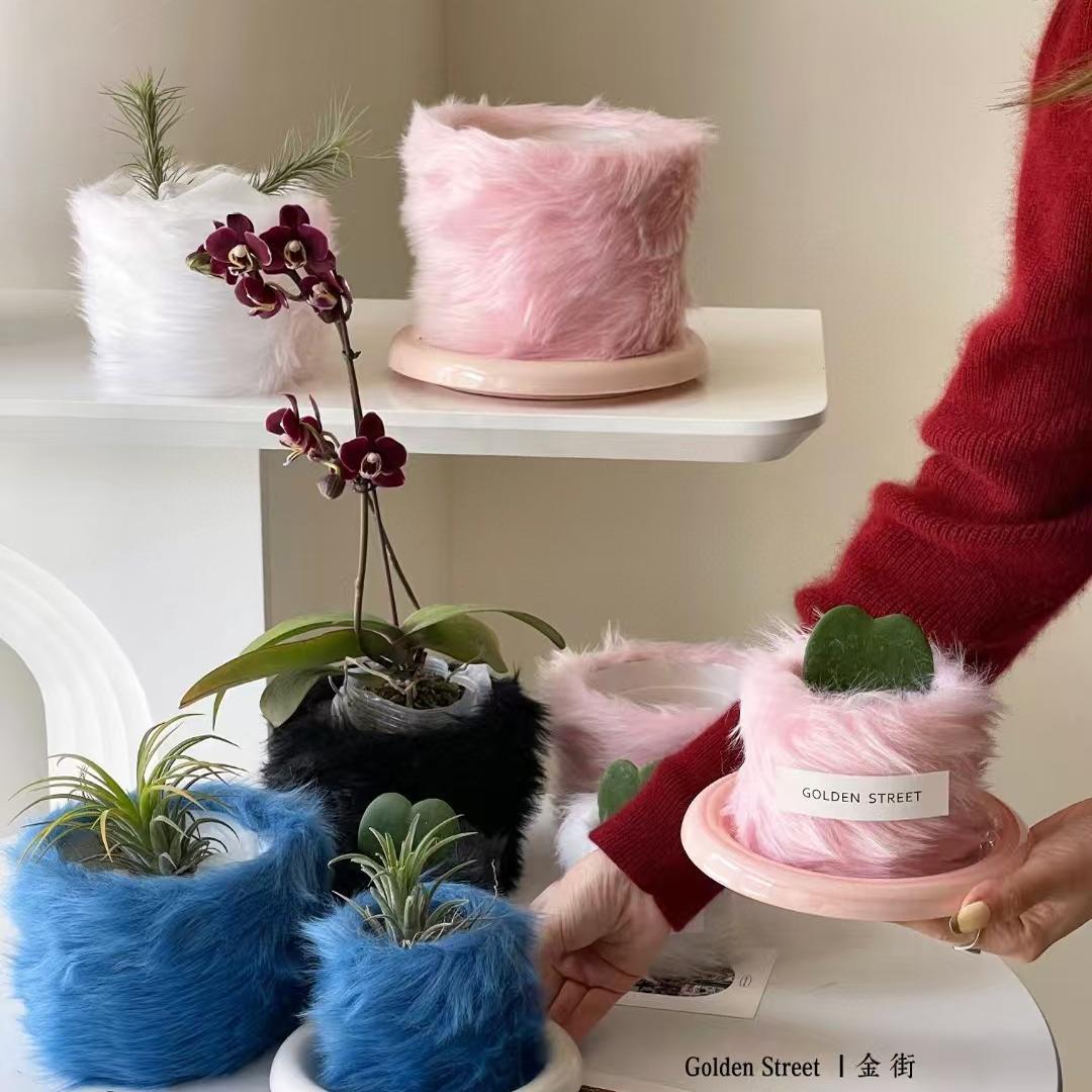 东方家 ins风可爱蝴蝶兰绿植客厅酒店盆栽毛绒花盆