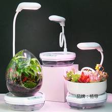 智能儲水植物補光台燈室內仿太陽綠植花卉防徒長延長花期多肉上色