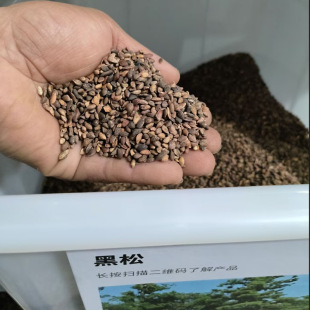 ���ɷN���ձ����ɷN��ͥԺ�o�����Ծ��^�쾰���Gɽ�|���ɘ�N����