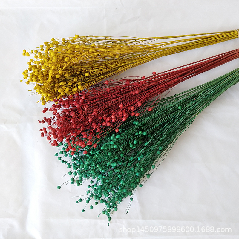 Xiangsi frijol ramo de flores secas flor bricolaje rojo rico Lino frijol decoración del hogar Yunnan artesanía regalo al por mayor