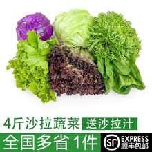 蔬菜沙拉组合4斤新鲜混合蔬果色拉生吃食套餐生菜沙拉批发厂工厂