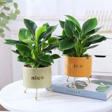 ������ԾG����������X�����՚��ļ���������ֲ��