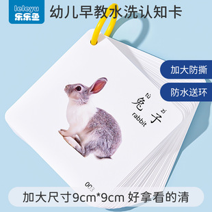 Washing Early Education Cognitive Card Children and Babies Look at Picture and Know Objects Puzzle Animal Fruit Real Enlightenment Flash Card