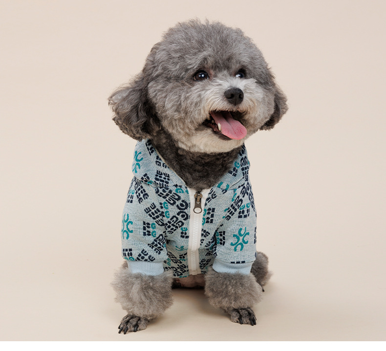 Teddy Dog Pattern Print Pet Clothes Image 4