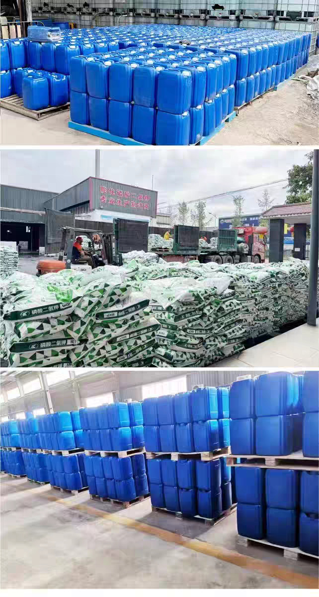 微信图片_20260120184942_839_256.pn