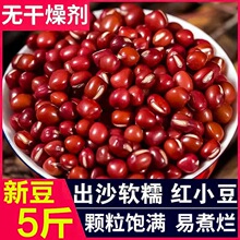 С�����l�t���r������s�Z�Ԯa�¼tС����С���t��޲����