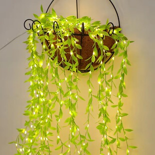 led�l�������ٗl�����������ˮ̫��ܿ羳ͥԺ�b����Gֲ�ʟ�