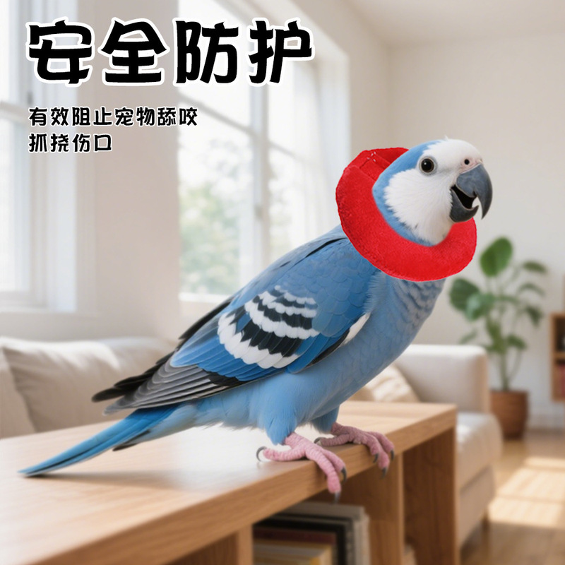 小宠伊丽莎白圈鸟仓鼠荷兰猪兔子术后恢复防舔防咬可调节项圈围|undefined
