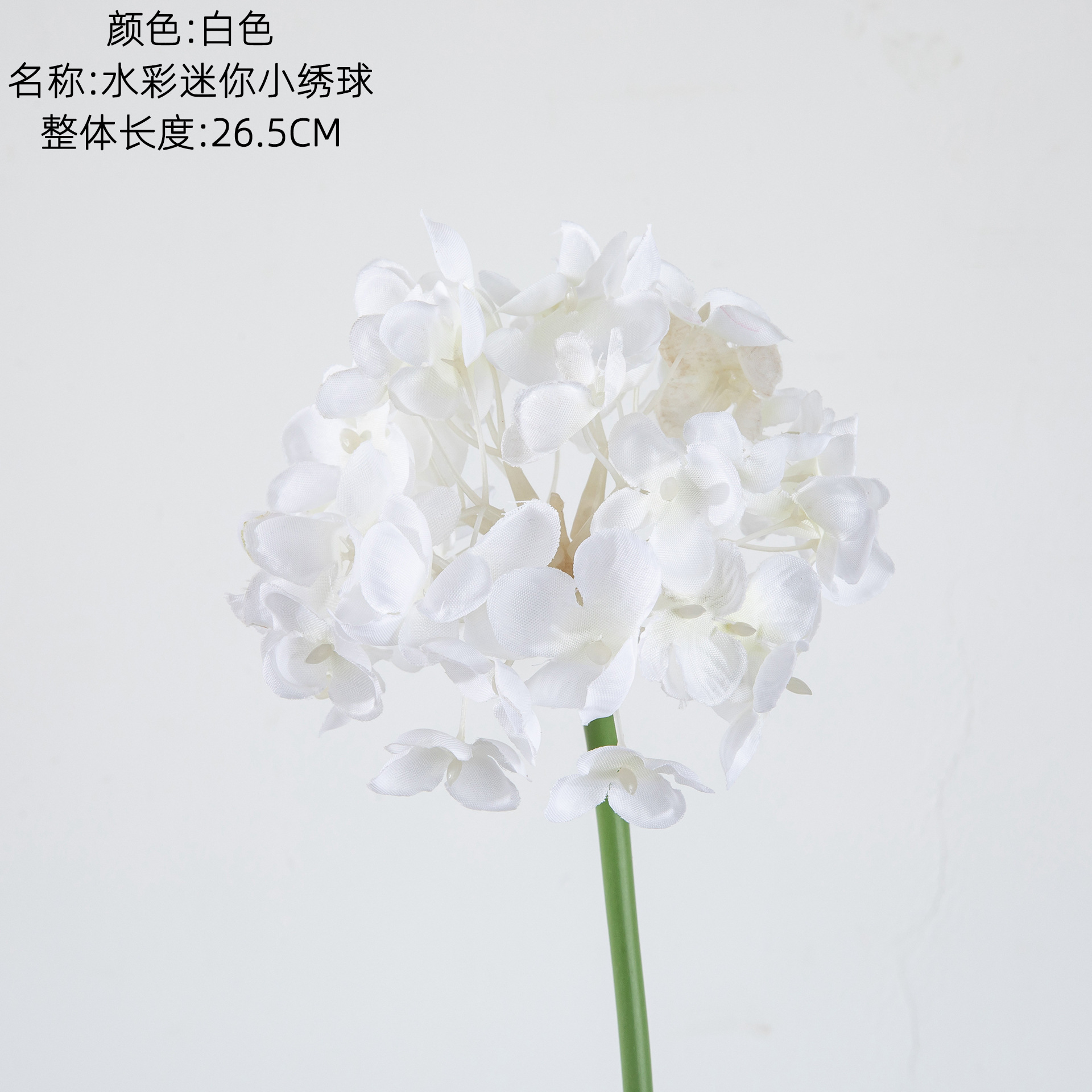 화이트