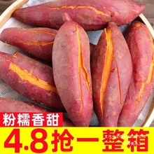 新鲜蜜薯10斤红薯现挖板栗烤地瓜糖心番薯沙地农家自种山芋小香薯
