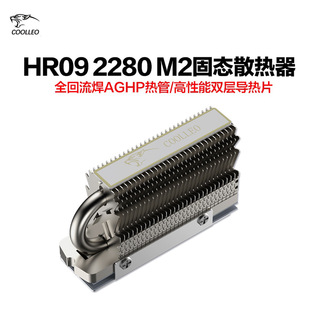 coolleo cool Leo HR-09 2280 heat pipe SSD solid state drive radiator radiator waistcoat heat sink