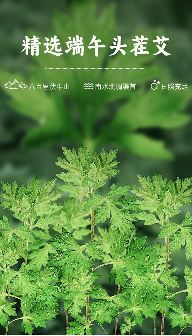 30:1 Handmade Golden Moxa Stick 5-Year Aged Mugwort Ai Tiao 1.8x20cm Warming Moxibustion Bar overview