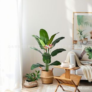 羳B˽Gֲԙֲ҃ȿ͏db쾰^