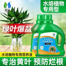 水培植物营养液通用型水养室内盆栽绿植花卉富贵竹发财树肥料