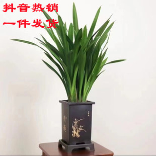 �����L�ķ����Ժðl؛���m������ī�m�҃�ֲ��͏d�k�������F�辰