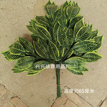 ������Ʒ���â���~������Ʒ���â���~ �������������� ��������