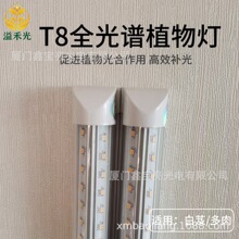 T81.2��LED���������ҶƬ�ʴ�˴�׳��߿������������ڳɻ���