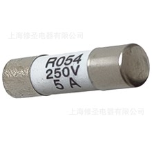 S۔RO54 250V 5x20mmմɱUzСb100֧/󃞻