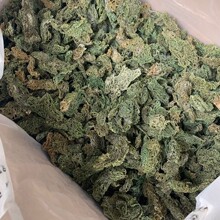 ��ș�ĺ��� ���÷� ����Ȼ���� Ұ���t���� ��������؛250�˰��]