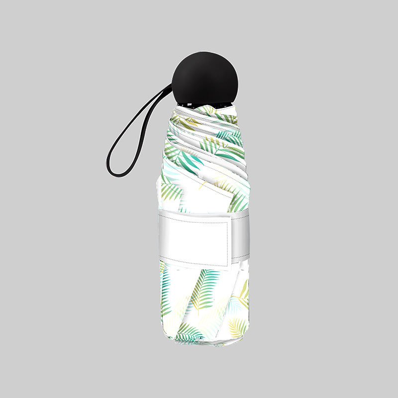 ɡڽɹֵŮѧڴɡЯ߼зɹ