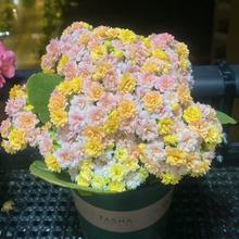 �L�ۻ��N�������һ�ϡ��Ʒ�N�L�ۻ��ذ�󻨻�ɫ�N���ļ��_��