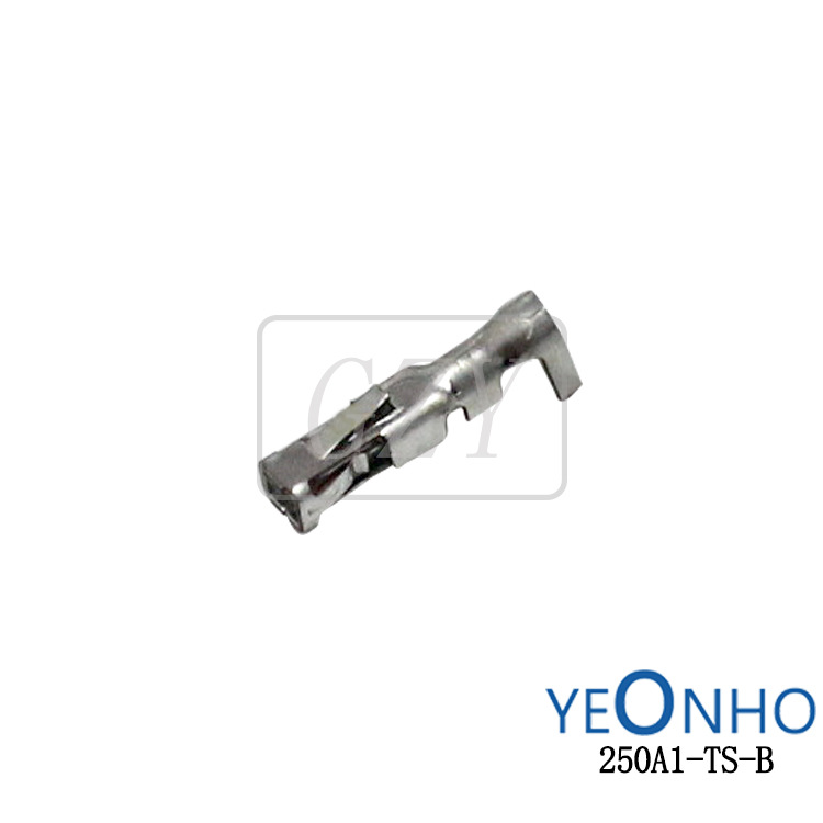 Ӧ250A1-TS-B ѹŶ YEONHO/Ȼ ɶ