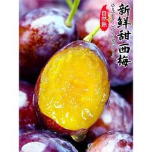 正宗新鲜西梅5斤法兰西当季新疆水果整箱大果孕妇产甜李子鲜果3