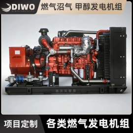 燃气发电机组;自吸泵