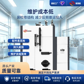 家用采暖炉;热风炉;蒸汽发生器