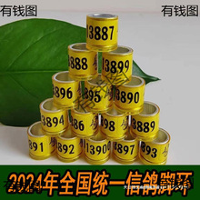 2024h_hyһhhƷþHCDSЇ