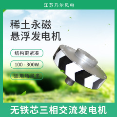 メーカー直販垂直軸ファン用100-300ワットモータ風力発電機外転子磁気浮上