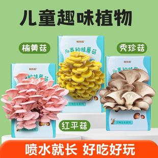 Ģ���Nֲ���ҷNĢ����ƽ���������r��������ʳ�þ��㹽Ȥζ�̨