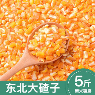 2026���|�����ײ����ÓƤ���r���R������ճŴܿ�����������