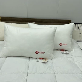 其他被芯;其他枕芯;羽绒枕