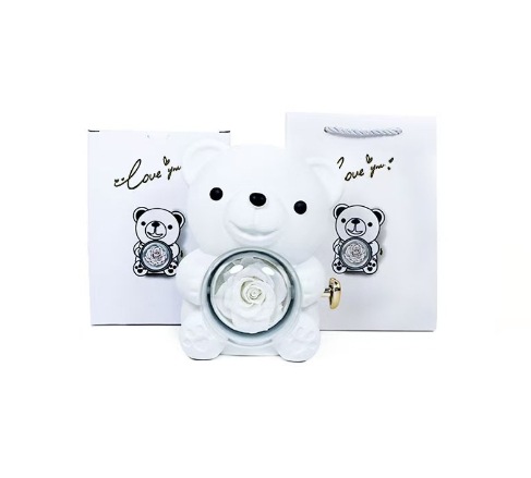 Caja de Regalo de Rosas, Caja de Terciopelo con Lazo Blanco, Collar Acrílico, Embalaje de Joyería para el Día de San Valentín Chino, Caja de Joyería