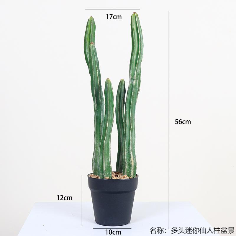 仿真龙神柱仙人掌寄生仙人球摩洛哥沙生植物造景软装样板工程装饰|undefined