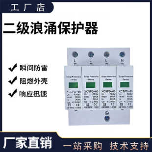 Surge Protector Single-Phase Photovoltaic 4P Household Power Lightning Arrester Three-Phase 4P Lightning Protection Surge Module Secondary