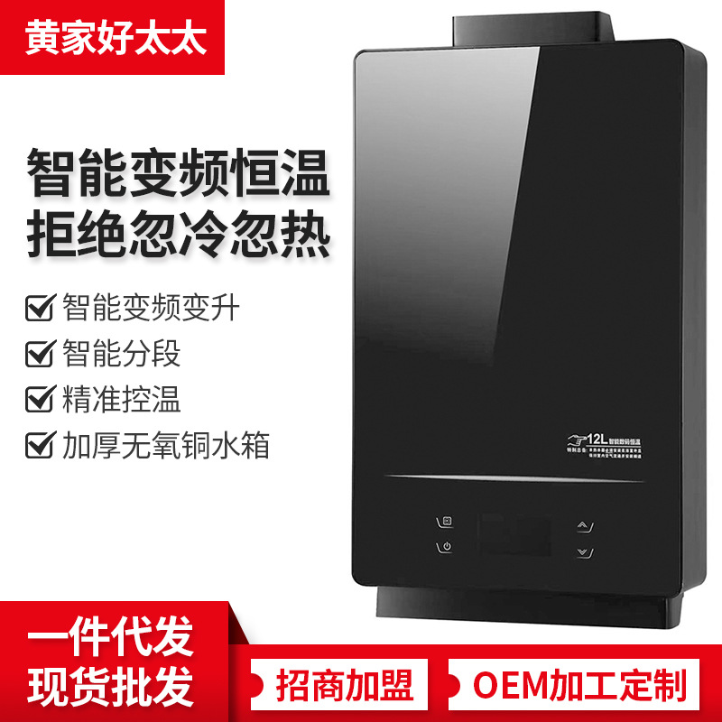 现货批发天然气燃气热水器电家用恒温强排式液化气煤气12升