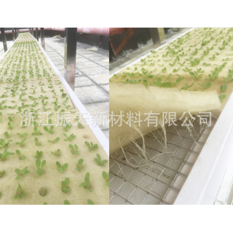 水培蔬菜种植海绵 无土水培蔬菜海绵 定植海绵块