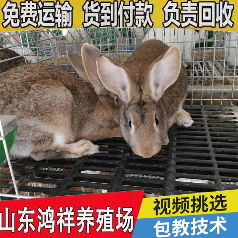 b_1260965202107081836197399.jp