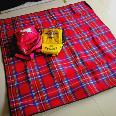 PVC car waterproof non-slip picnic Car Carpet