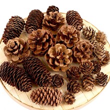 ��Ȼ�ɹ� �}�Q�ɹ��b���diy�[���Ĕz��Ȼ��������[����ʽ�Rȫ
