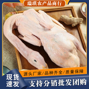 ��S���]���r���ҹ����r����������ֻ�חl���F�����l������]����