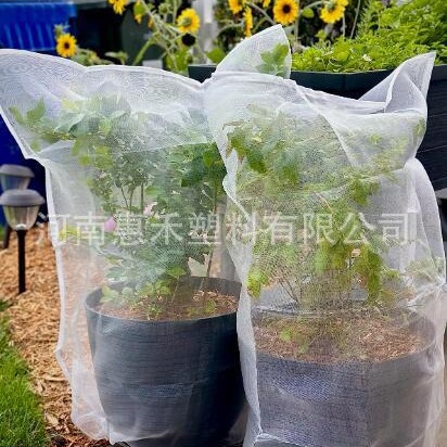 跨境热销 植物涤纶防虫网袋 果树防虫防鸟网罩 植物防虫 防苍蝇罩