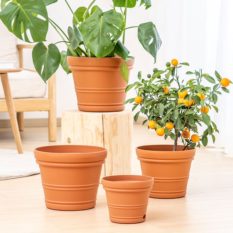 IRIS resina convexa patrón interior redondo maceta balcón jardín Rosa suculenta maceta