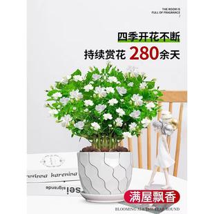 ���������Ԏ������������Ϙ�ˮ���d�ӻ�����þGֲ���ļ��_��