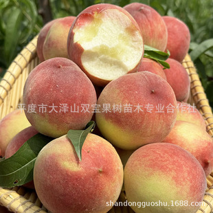 �ش���ɏ����ɽ�|�������l�����Ϸ��Nֲ��Ʒ�Nˮ���Ҙ������߮a