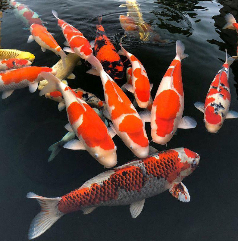 87e60cfd-30cd-4b26-8b1c-b096f6f82f0c.jpe